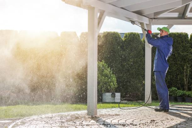 Best Animal Enclosure Cleaning  in Childress, TX